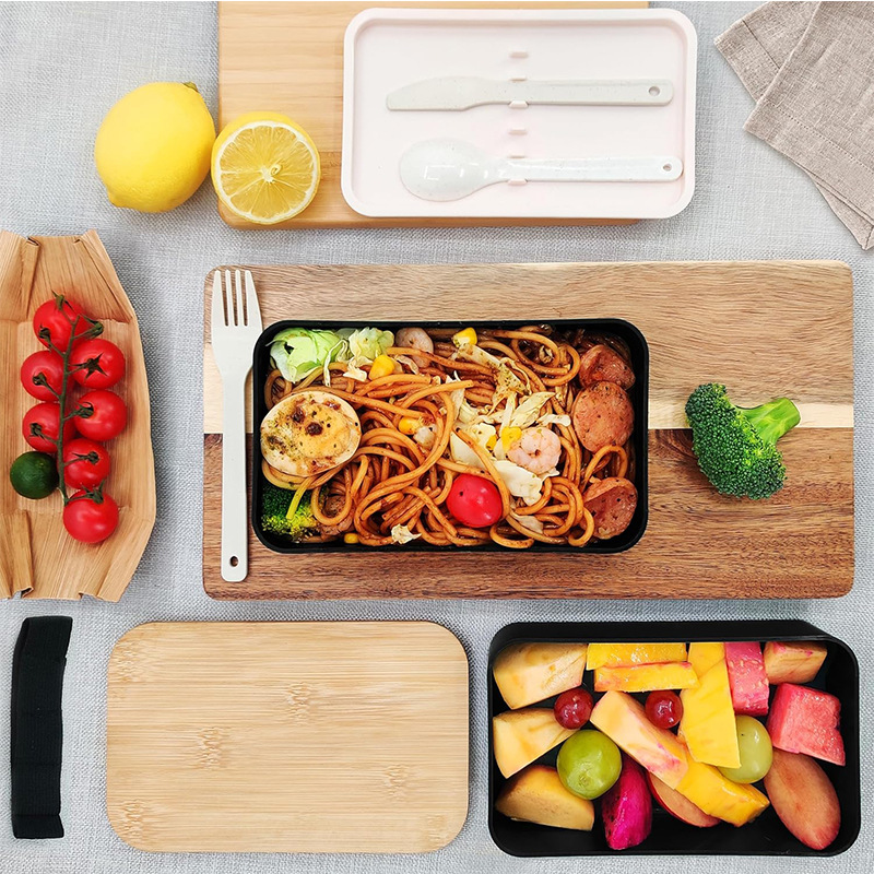 Japanese Double Layer Bento Lu - Meal Prep Japanese Food review and price