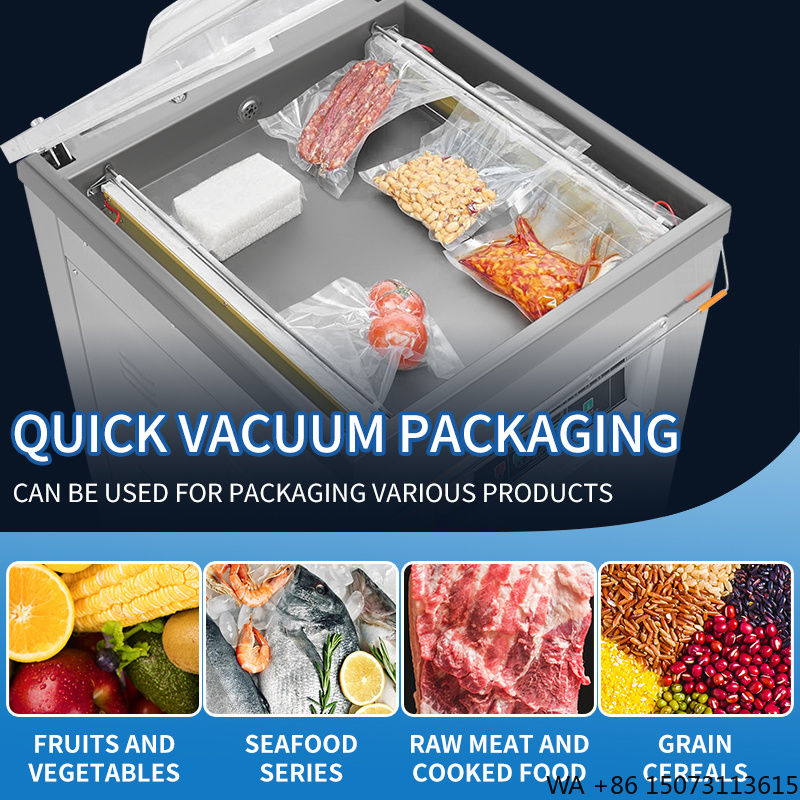 DZ-500  Vertical Single Chambe - Meal Prep Bag review and price