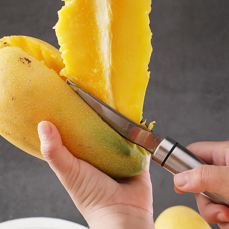 Mango Slicer peeler Mango Spli - Mango Splitter Tool review and price